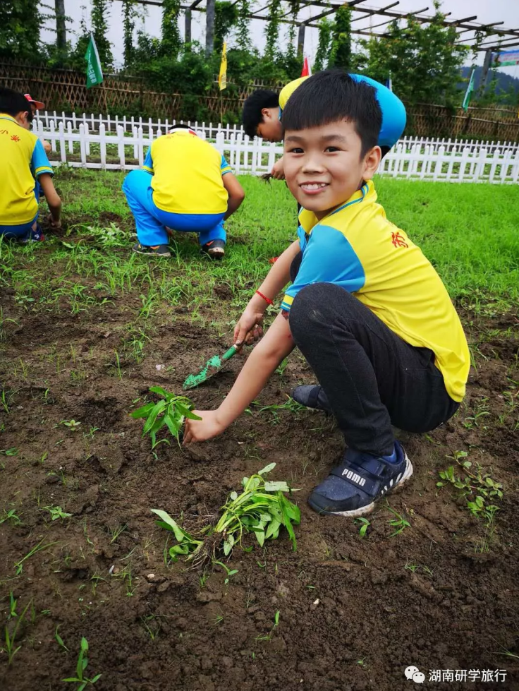 農耕體驗認知農業