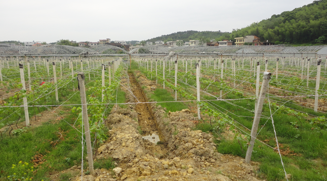 郴州蓮山莊園,郴州生態(tài)山莊,郴州原生態(tài)休閑農(nóng)業(yè)莊園,郴州鄉(xiāng)村旅游 郴州蓮山莊園,郴州生態(tài)山莊,郴州原生態(tài)休閑農(nóng)業(yè)莊園,郴州鄉(xiāng)村旅游